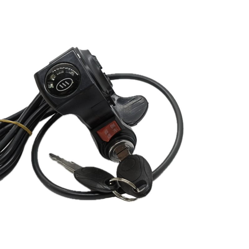 Курок газа з індикатором заряду та ключем 48V