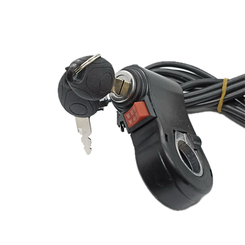 Замок запалення з перемикачем Замок запалення з перемикачем