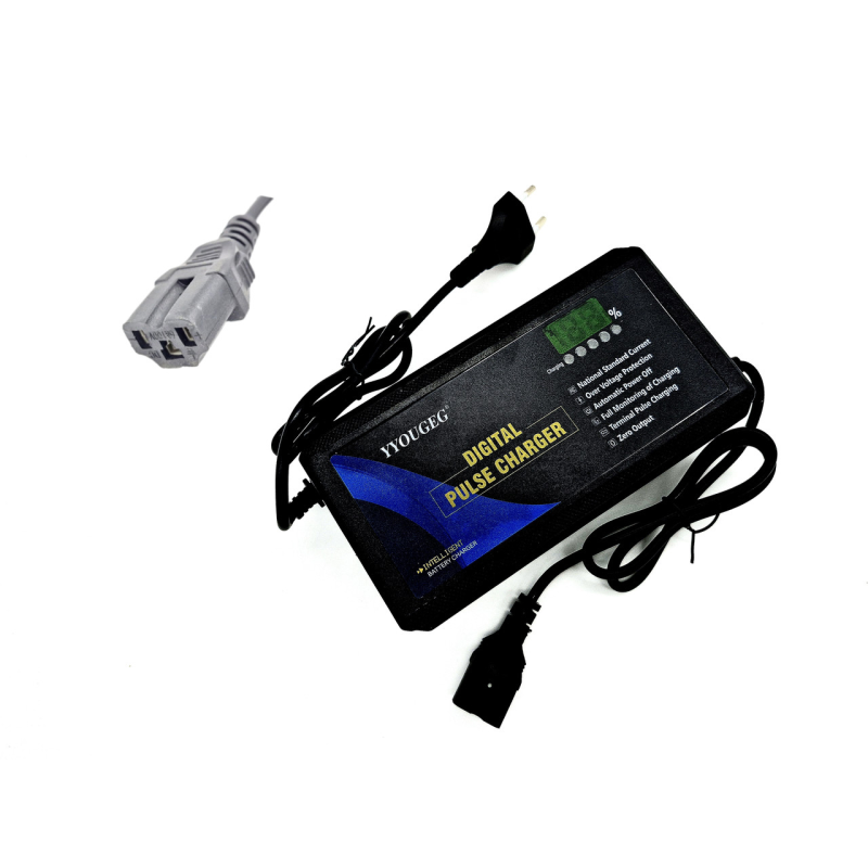 Зарядное устройство 48V для свинцевих, гелевих акумуляторних AGM і GEL